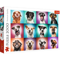 Jigsaw Puzzles - "2000" - Funny dog portraits II