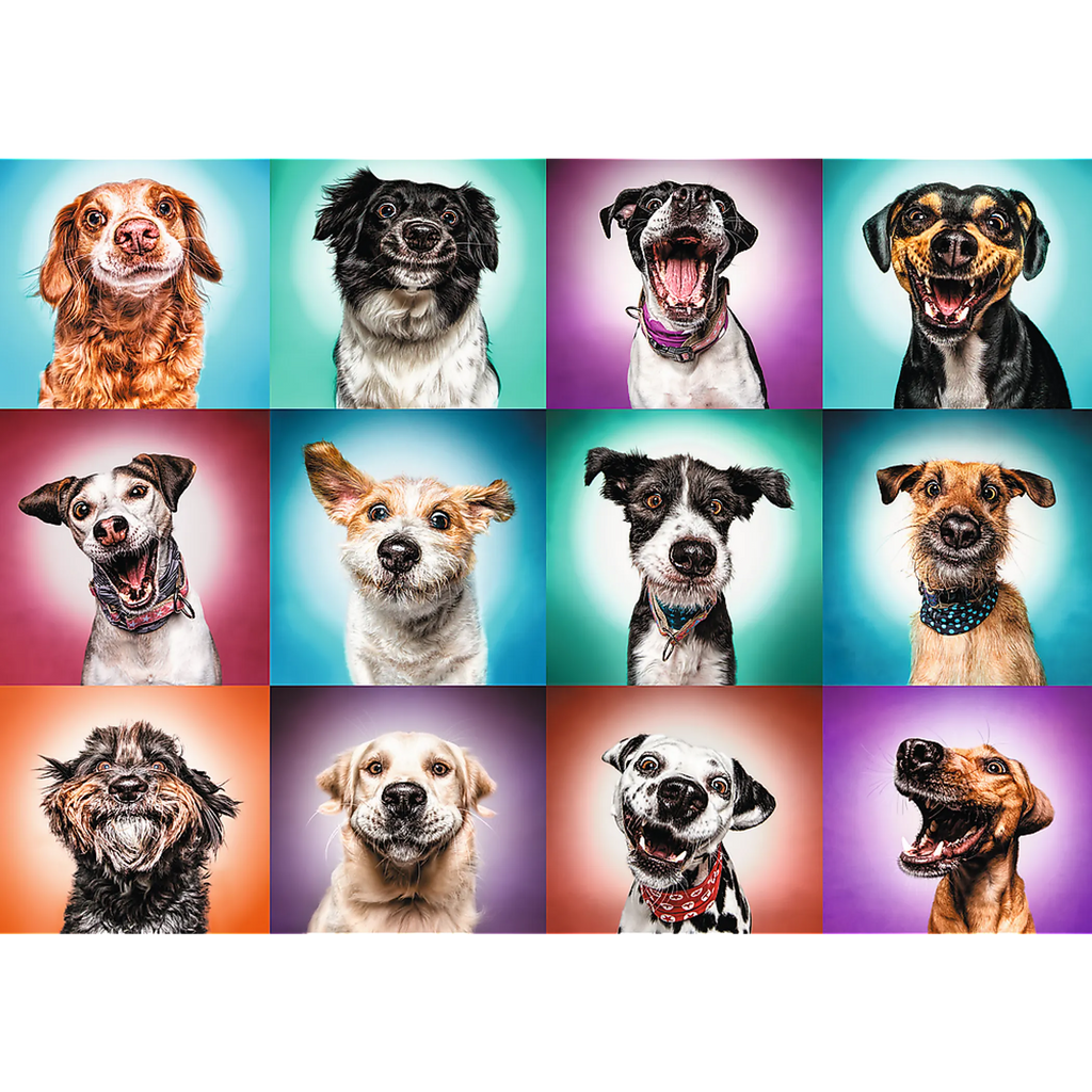 Jigsaw Puzzles - "2000" - Funny dog portraits II