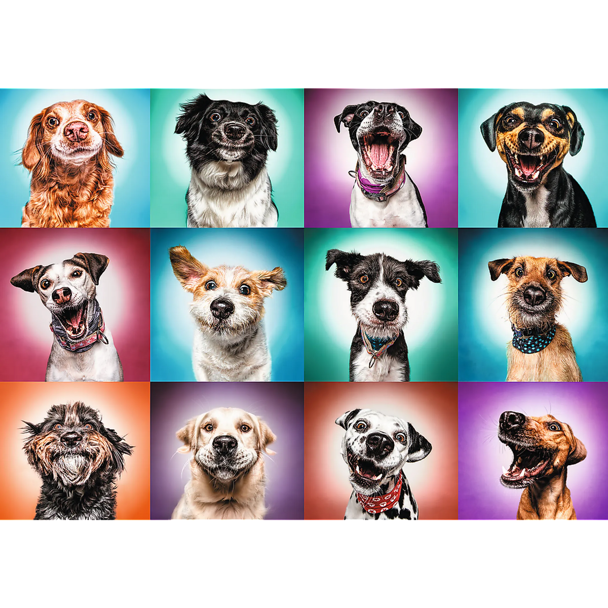Jigsaw Puzzles - "2000" - Funny dog portraits II